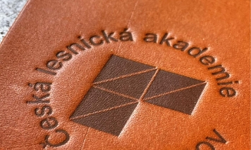 Tepelná ražba